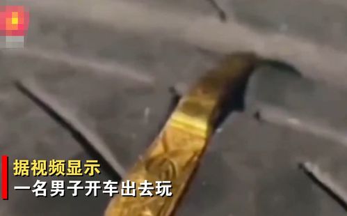 别人家的轮胎山东一男子开车出去溜一圈,车胎就卡了个999金戒指