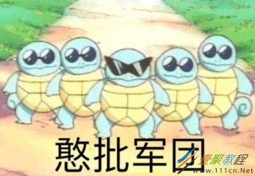 为什么说杰尼龟是天选憨憨杰尼龟为什么是憨比