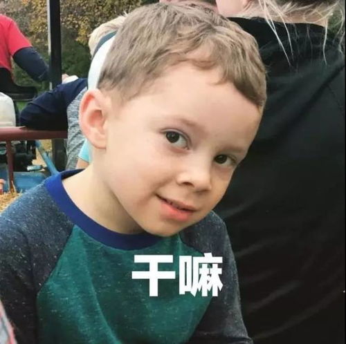 假笑表情包图片可爱