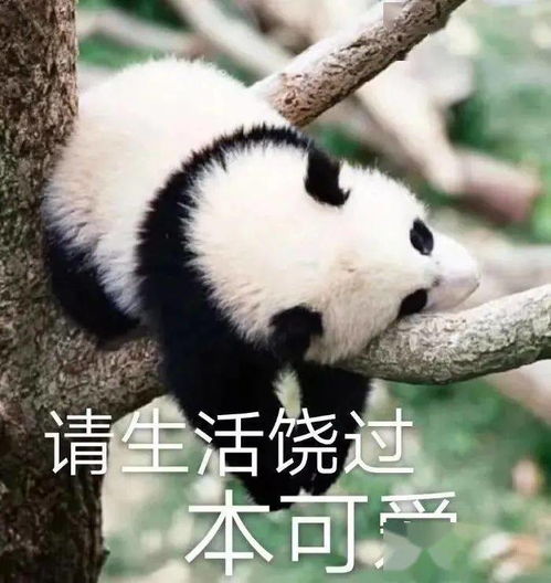 奇怪的表情增加了