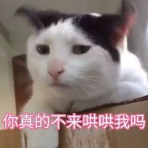 悦读伤害我们的人,应该原谅呢还是算了吧