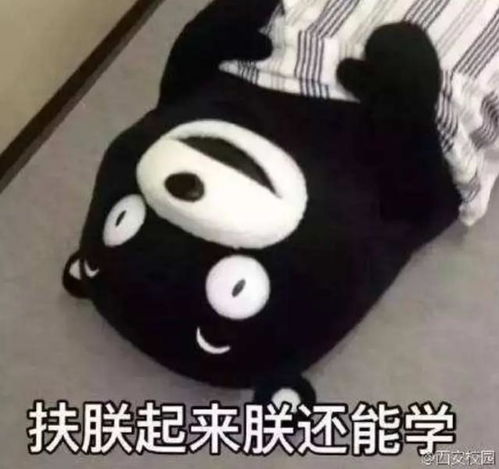 19号笔刷psps这款绘画笔刷最好用教你怎么设置并运用