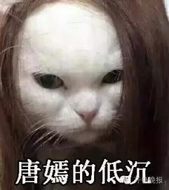 厉害了我的影后周冬雨马思纯的自黑功力太强