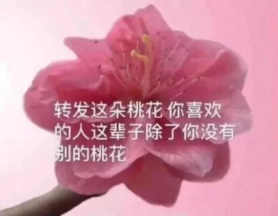 表情包互分享,我先来,你们的呢