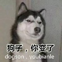 抖音狗子出列表情包微信头像图片大全