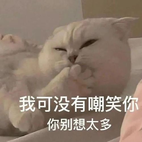 某女主播发布大尺度漏点短视频,事后回应号被盗了