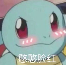 前方大量表情包出没杰尼龟咋就变成憨批代言人了