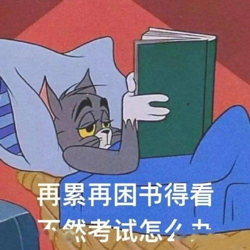 考研进行时丨考研人,今天你学习了吗