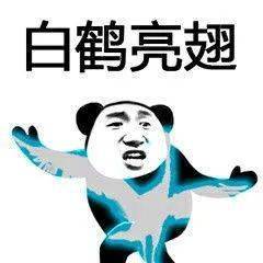 报名时间定了这个证可以领补贴减免个税不限户籍
