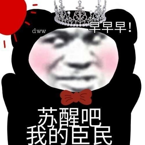 沙雕熊猫头你已经不是我的宝贝了
