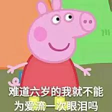 2017年度表情包大赏,2018斗图从此不输