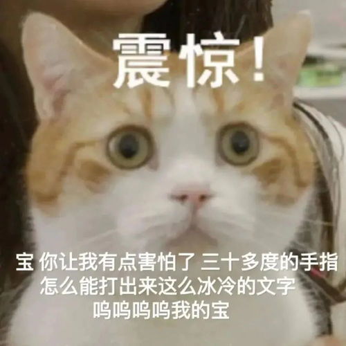 微信可爱聊天表情包三十多度的手指怎么能打出这么冰冷的文字