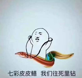 我只是一条黄鳝你却一夜之间毁了我
