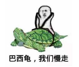 皮皮虾成为表情包扛把子,一堆水产系列表情包上线