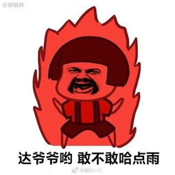 刷爆朋友圈的榆林夏季方言表情图横空出世