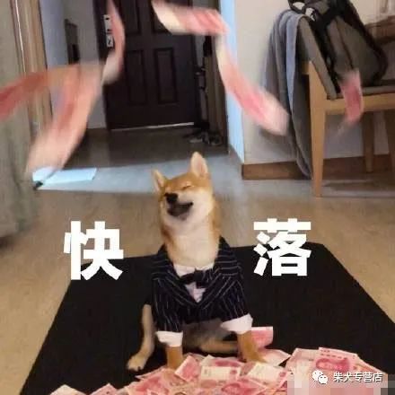 柴犬萌贱表情包合辑,不笑算我输