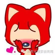 快看不止最逗趣表情包成都博物馆还有史上最美讲解员
