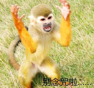 表情小猴越狱被饲养员逮住,脸上表情极夸张,网友这是被念咒了吗...表情