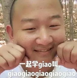 今年最红的表情包终于出现了,安排