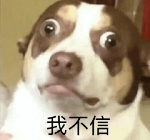 她以一己之力改变贵圈女星审美,退圈十年却逃不过最丑小龙女的称号