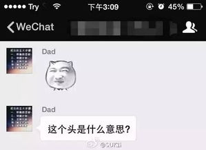 千万别在微信上和父母聊天呀分分钟想让你自