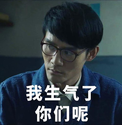 北京卫视大江大河宋运辉表情包九连