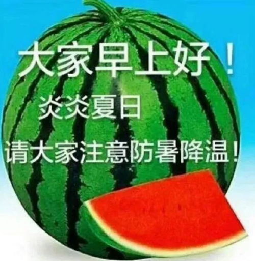 早上好天气炎热注意防暑,送去炎热夏天降温防暑的关怀
