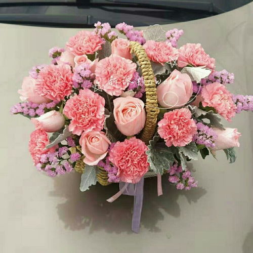 全国同城鲜花速递康乃馨玫瑰手提花篮26朵探望祝福送病人长辈朋友