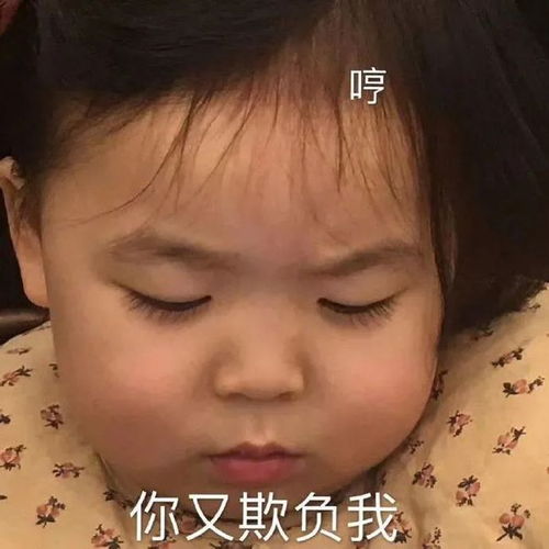 可爱微信聊天表情包你该忙忙你的吧
