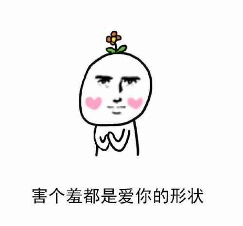 爱你的形状表情包大全说个ok都是爱你的形状