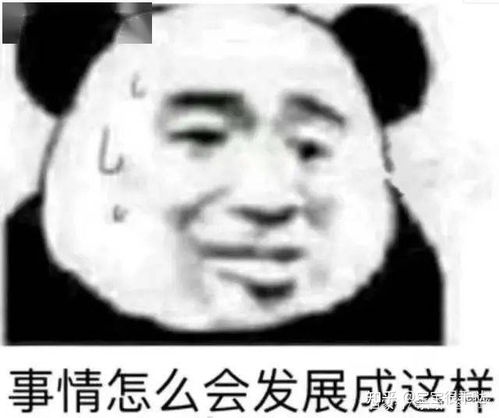 半夜看片,结果蓝牙连到我们家哈哈哈太尴尬了