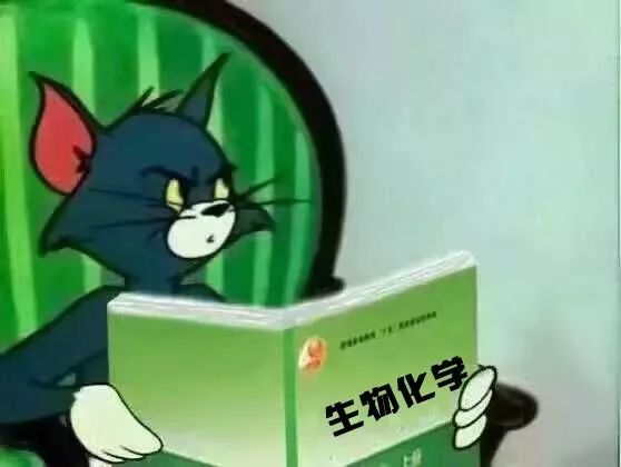 听说你的表情包库需要更新了元旦特辑