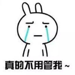 可爱表情包女生生气时会说什么