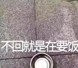 表情包见到你之后,人家心里的小鹿就得了脑震荡