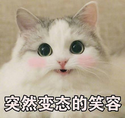 一句话得罪一个专业,那些关于对大学专业的误解,全是行走的笑点