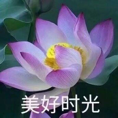 老人群头像大全勿忘初心往事如风
