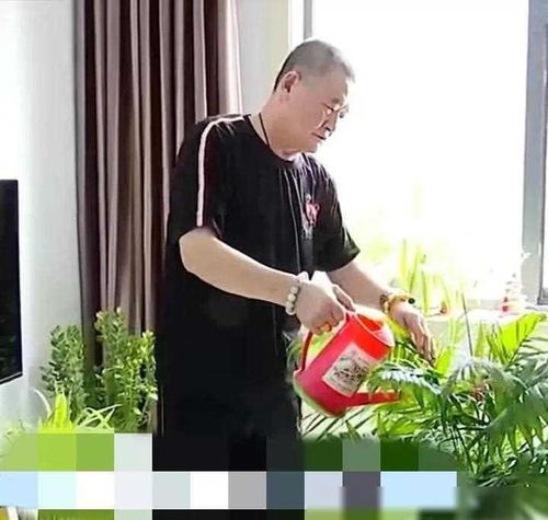 61岁男子相亲57岁女子,两人交谈后,男子你无法达到我的要