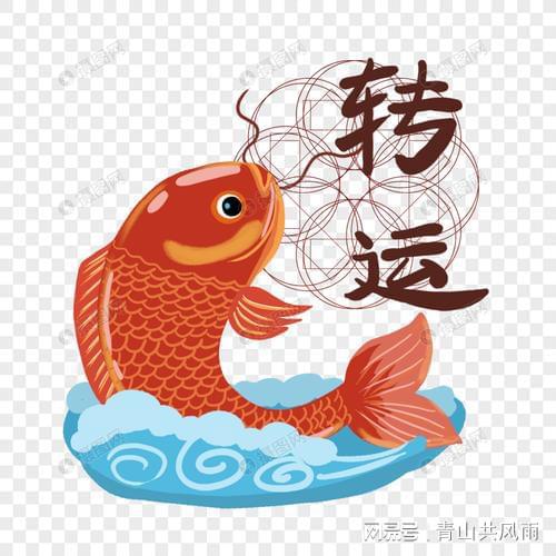 2022年转运的生肖,运气很好,贵人相助,