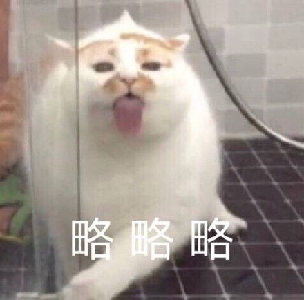 敢动表情包略略略