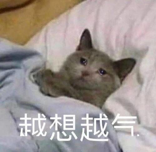 表情包我不是来救你的我是来爱你的