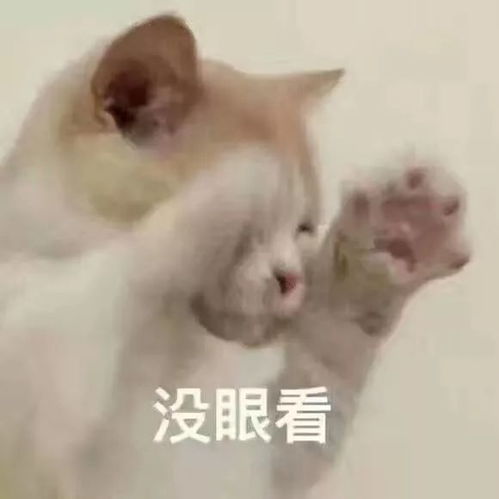 你选的体育课和你想的一样吗