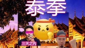 如果我有一张船票,你未必会同我走,请看到最后
