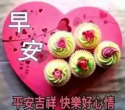 中午好表情图清晨最美早安祝福动态图片带字最新版早上好鲜花动画图片