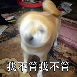 讲道理,不用散粉的夏天怎么可能不花妆
