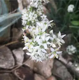 兴凯湖博物馆举办2019中俄兴凯湖世界人与生物圈保护区昆虫与花朵世界环保摄影展
