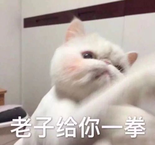 公司运营小姐姐们的真实面目竟然是这样的...