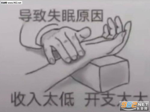 导致失眠原因收入太低开支太大的图片我尽量哭的很小声表情包下载乐游网游戏下载