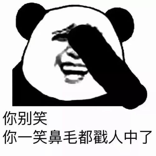每日表情聊天逗比表情