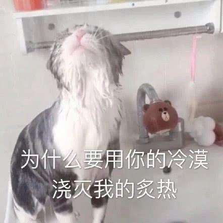 热门斗图表情包生活不易,鱼鱼叹气