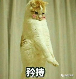 pgone变宝洁店长卖丹碧丝靠代言成为女性之友的还有哪些